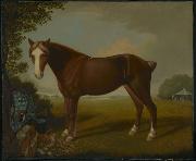 unknow artist Portrait of a Horse France oil painting artist